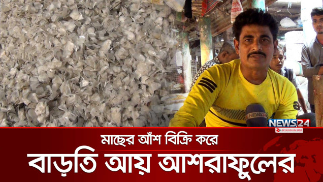 ফেলে দেওয়া মাছের আঁশে ঘুড়ে দাঁড়াচ্ছেন আশরাফুল | News24 Special