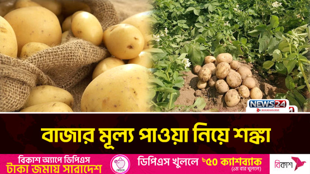 আলু চাষে রেকর্ড ভেঙেছে জয়পুরহাটের কৃষকরা | Joypurhat Potato | News24