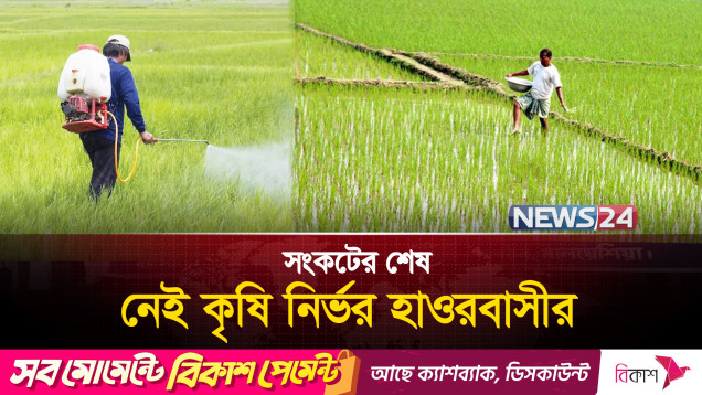 সার সংকটে কিশোরগঞ্জের হাওরাঞ্চলের কৃষক | News24