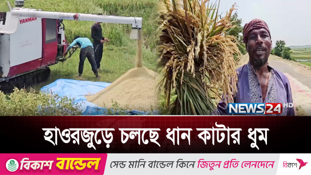 কৃষকের মুখে আনন্দের হাসি | Success Story of Bangladeshi Farmer | News24