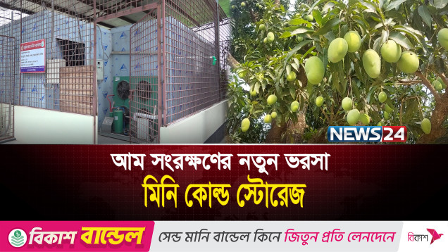 রাজশাহীতে জনপ্রিয় হচ্ছে আমের মিনি কোল্ড স্টোরেজ | Mini Cold Storage | News24