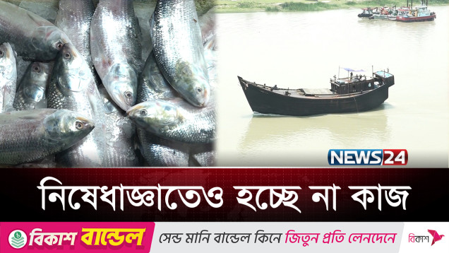 কেন মিলছে না কাঙ্ক্ষিত ইলিশ? | Hilsha Bazar | News24