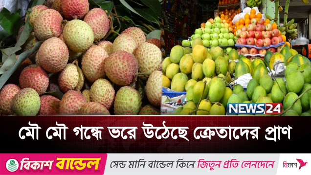 মধুমাসে মধু ফলে ভরে গেছে চট্টগ্রামের বৃহৎ ফলের আড়ত | Fruit Season | News24