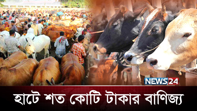 মাত্র দুইশত টাকা হাসিলে মিলছে লাখ লাখ টাকার গরু | Cow | News24