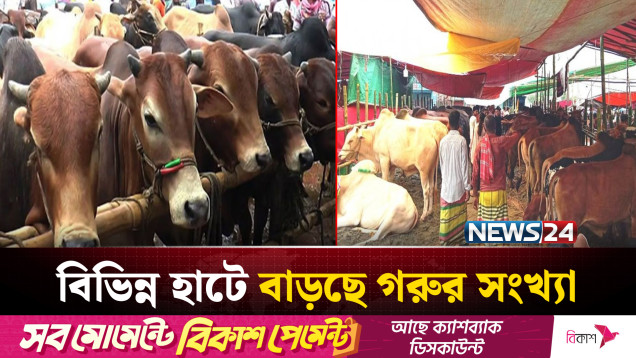 ঈদ ঘনিয়ে এলেও পশুর হাটে ক্রেতা কম | NEWS24