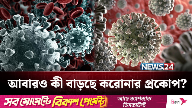 ক-রো-না নিয়ে নতুন করে জনমনে উদ্বেগ | Corona | NEWS24