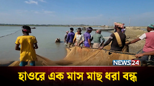 প্রজনন বৃদ্ধিতে নেত্রকোণার হাওরে মাছ ধরা বন্ধ | NEWS24