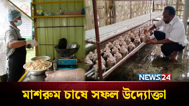 মাশরুম চাষে সফল নীলফামারীর হাবিবুর রহমান | News24