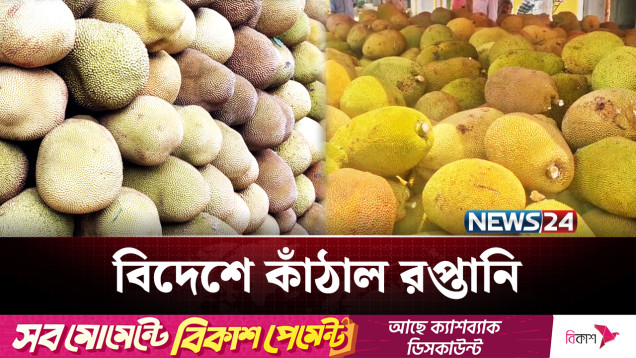 দেশের চাহিদা মিটিয়ে বিদেশেও যাচ্ছে গাজীপুরের কাঁঠাল | jackfruit | NEWS24
