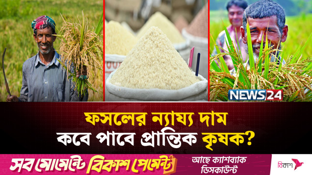 ধান বিক্রি করতে হয় কম দামে, অথচ বাজারে চালের দাম বাড়ছেই | NEWS24
