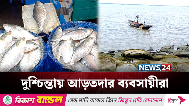 ইলিশের দাম নির্ধারণের নীতিগত অনুমোদন দিলো প্রধান উপদেষ্টা | Hilsa fish | NEWS24