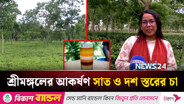 পর্যটকদের অন্যতম আকর্ষণ মৌলভীবাজারের শ্রীমঙ্গলের সাত ও দশ রংয়ের চা | News24