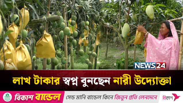 মিশ্র ১২ জাতের আম চাষে সফলতা পেয়েছেন রুমা অধিকারী | News24