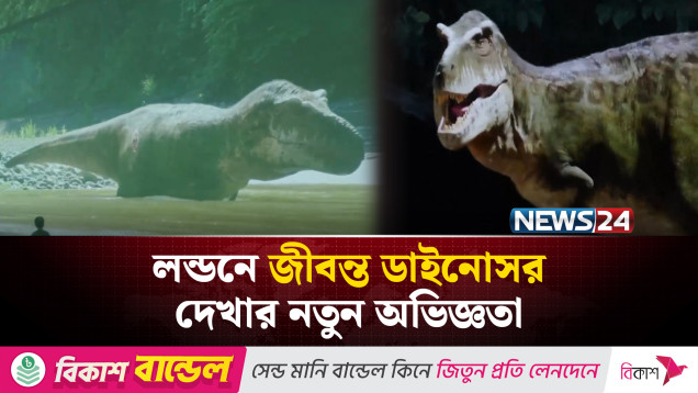 টাইম মেশিন ছাড়াই সাড়ে ছয় কোটি বছর পেছনে | NEWS24