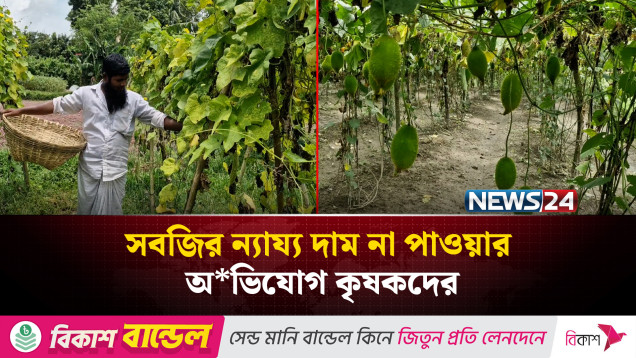 সিন্ডি*কেটের কারণে সবজির ন্যায্য দাম পাচ্ছেন না কৃষকরা | NEWS24