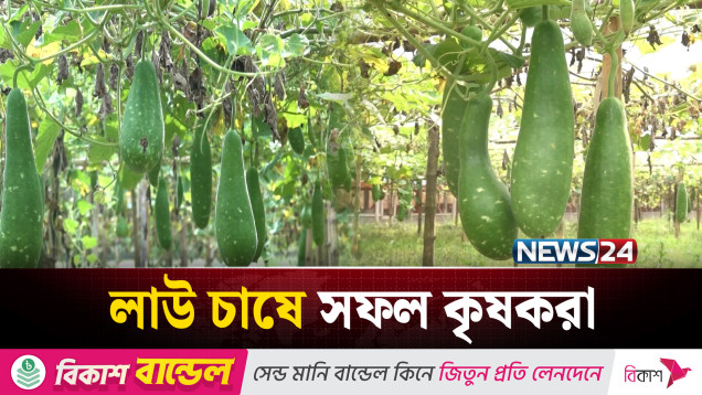 লাউ চাষে লাভবান রাজশাহীর কৃষকরা | Gourd | NEWS24