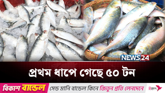 ঢাকা-দিল্লি সম্পর্কের টানাপোড়নেও ইলিশ পেল কলকাতাবাসী | Kolkata | Hilsa fish | News24