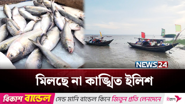 ভরা মৌসুমেও নেই ইলিশ, জেলেরা খুঁজছে পরিত্রাণের উপায় | Hilsa fish | NEWS24