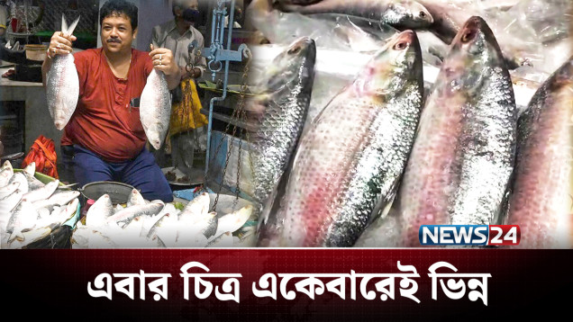 কলকাতায় এবার ইলিশের চিত্র একেবারেই ভিন্ন | Kolkata | Hilsa fish | News24