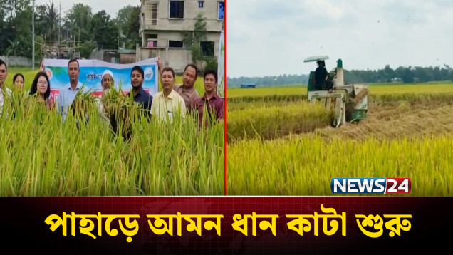 খাগড়াছড়ির পাহাড়ে আমন ধান কাটা শুরু | Khagrachari | NEWS24