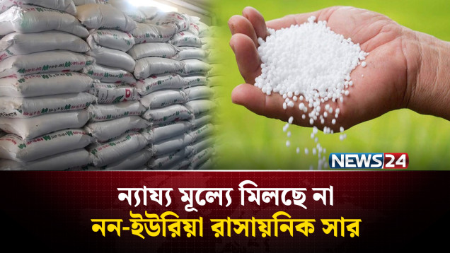 জয়পুরহাটে ন্যায্য মূল্যে মিলছে না নন-ইউরিয়া রাসায়নিক সার | Joypurhat | NEWS24