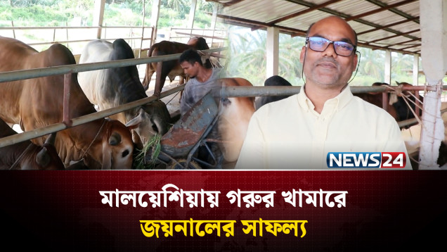 মালয়েশিয়ায় গরুর খামার করে সফল বাংলাদেশি উদ্যোক্তা জয়নাল | Malaysia | Cow Farm | NEWS24