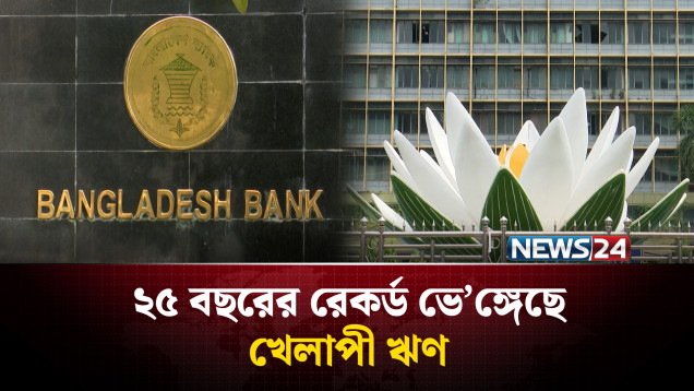 ২৫ বছরের রেকর্ড ভে’ঙ্গেছে খেলাপী ঋণ | Default Loan | NEWS24