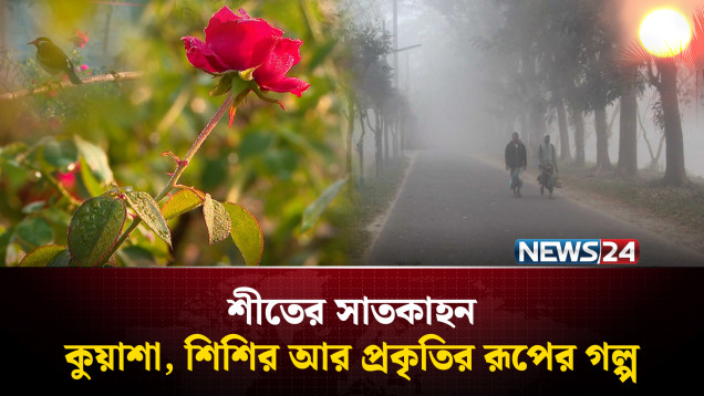 শীতের সাতকাহন: কুয়াশা, শিশির আর প্রকৃতির রূপের গল্প | Winter | NEWS24