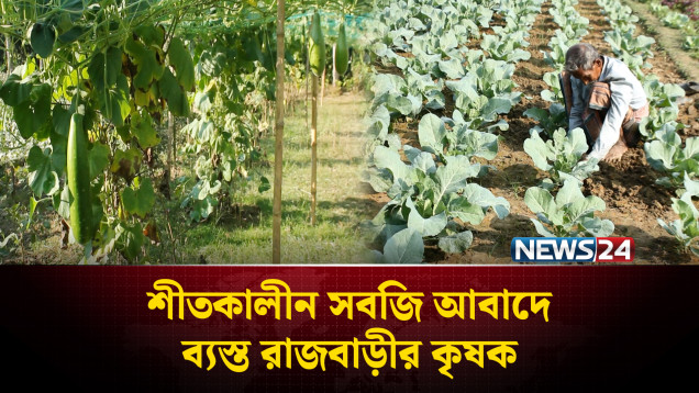 রাজবাড়ীতে শীতকালীন সবজি চাষে ব্যস্ত সময় পার করছেন কৃষক | Rajbari | NEWS24