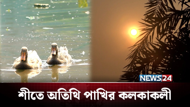 অনিরাপদ আবাসস্থলে এবার কমেছে অতিথি পাখি | Winter | NEWS24