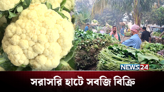 একই সবজি হাত বদলে শহরে বিক্রি দ্বিগুণ দামে! | Vegetable | NEWS24