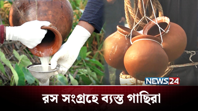 শীতের আবহে খেজুর রস সংগ্রহে ব্যস্ততা | Winter | NEWS24
