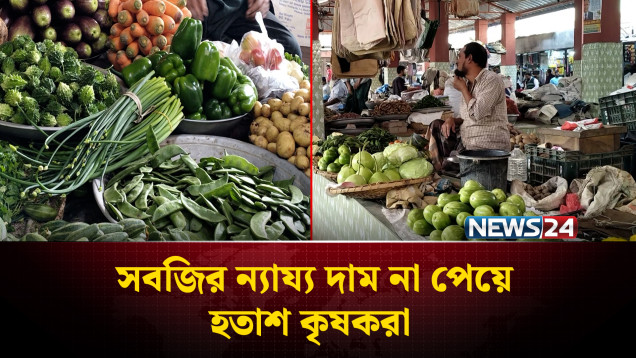 সিন্ডি'কেটের দৌরাত্ম্যে সবজির ন্যায্য দাম পাচ্ছে না কৃষক | Kushtia | NEWS24