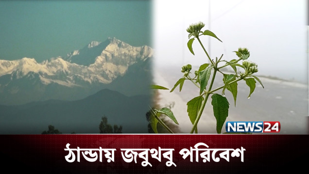 সন্ধ্যে হওয়ার আগেই কুয়াশাচ্ছন্ন হয়ে পড়ছে সবকিছু! | Winter | NEWS24