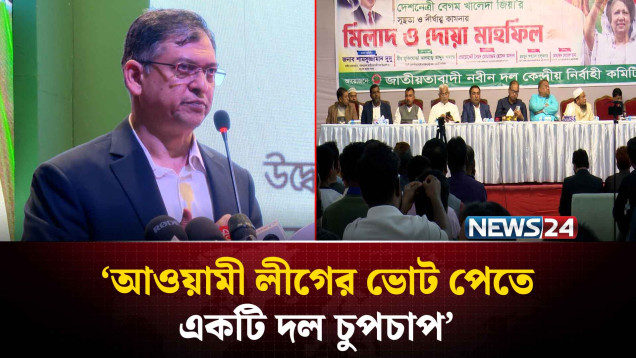 আওয়ামী লীগের ভোট পেতে একটি দল চুপচাপ: সালাহউদ্দিন | BNP | NEWS24