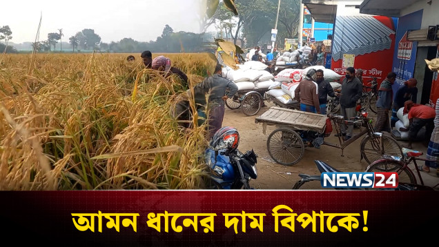 স্বপ্নের আমন ধান বেচতে গিয়ে হ'তা'শ কৃষক | Aman Paddy Crisis | NEWS24