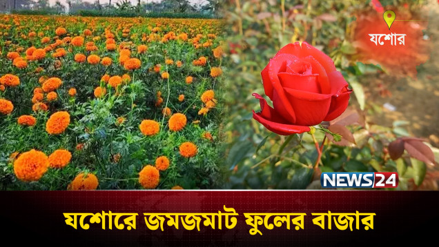 বিজয় দিবস ঘিরে যশোরে জমজমাট ফুলের বাজার | Flowers Market | Jashore | NEWS24