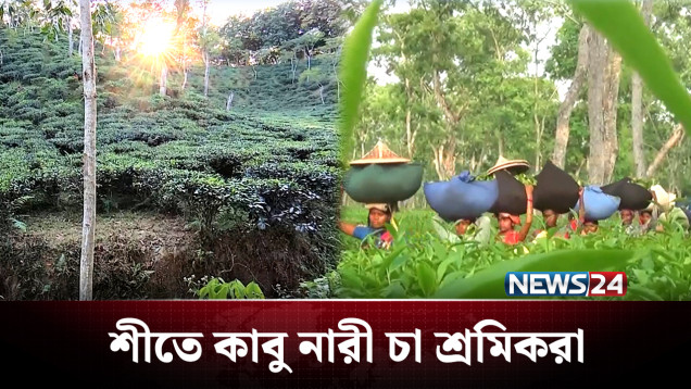 হাড় কাঁপানো শীতে ঝুপড়ি ঘরে এক কাপড়েই জীবন যাপন! | Winter | NEWS24