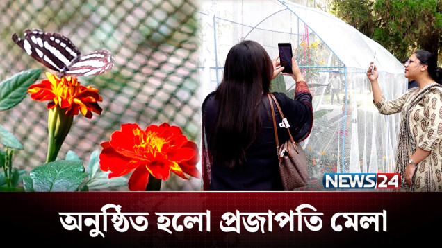 শীতের শুরুতেই জাবি’র সবুজ ক্যাম্পাসে বর্ণিল আয়োজন | Butterfly Exhibition | NEWS24