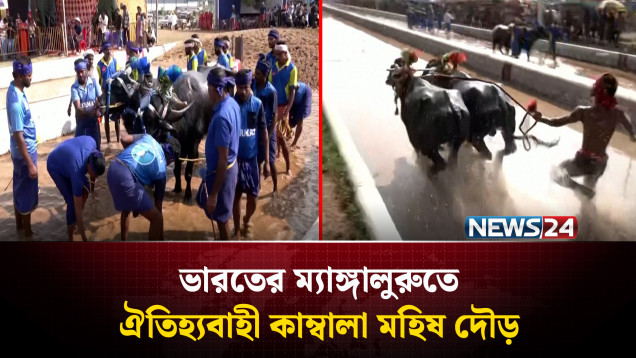 ভারতের ম্যাঙ্গালুরুতে ধান কাটা শেষে হলো বার্ষিক কাম্বালা উৎসব | NEWS24