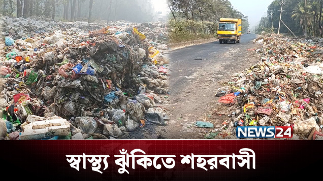 পুরো শহর যেন ময়লার ভাগাড়! | Waste | NEWS24