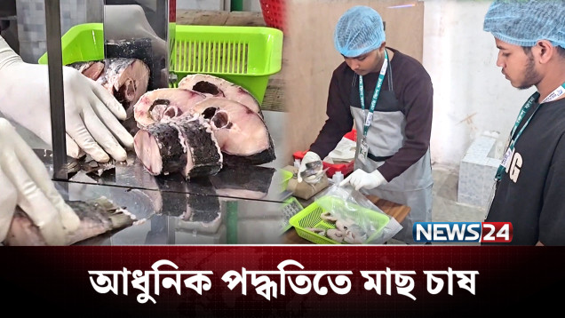 চাকরির আশায় বসে না থেকে মাছের চাষে সাফল | Fish Farming | NEWS24