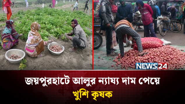আগাম জাতের আলুতে হাসি ফুটেছে জয়পুরহাটের কৃষকের মুখে | NEWS24