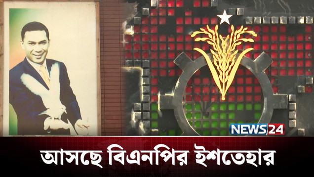 নির্বাচনে ৮টি প্যাকেজ নিয়ে আসছে বিএনপির ইশতেহার | BNP | NEWS24