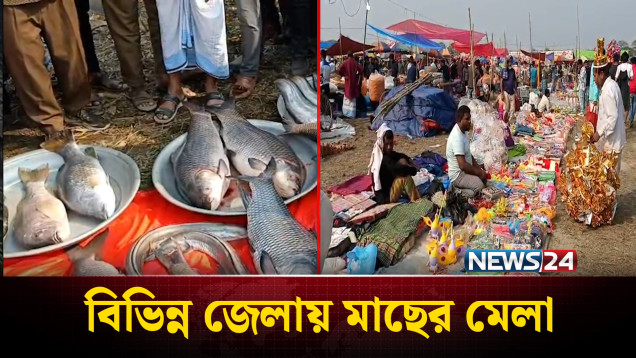 পৌষ সংক্রান্তিতে বিভিন্ন জেলায় মাছের মেলা | News24
