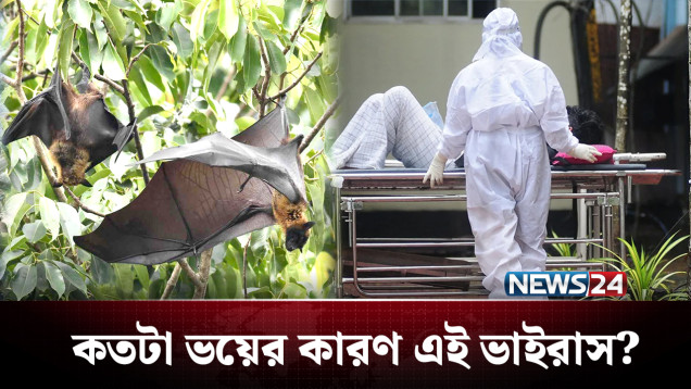 ভারতে নিপাহ সংক্রমণ, কতটা ভয়ংকর এই ভাইরাস? | virus | India | NEWS24