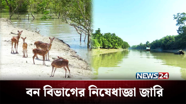 সুন্দরবন সুরক্ষায় নিষেধাজ্ঞা জারি করলো বন বিভাগ | Sundarban | NEWS24