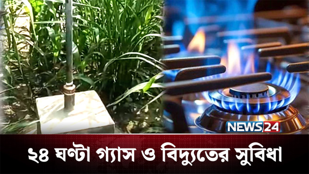 গরুর গোবর থেকে গ্যাস ও বিদ্যুতে বদলে যাচ্ছে জীবন | Biogas Plant | NEWS24