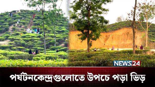 প্রকৃতির সান্নিধ্য পেতে পর্যটকরা ছুটছেন সিলেট ও হবিগঞ্জে | Sylhet | NEWS24