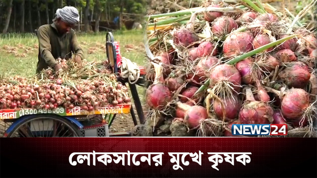 ক্ষতির শঙ্কায় অপরিপক্ক পেঁয়াজ তুলছেন কৃষকরা | Onion | News24
